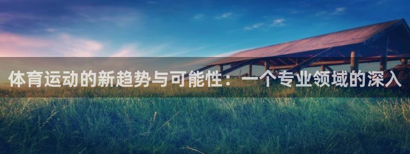 3377体育官网入口网页版