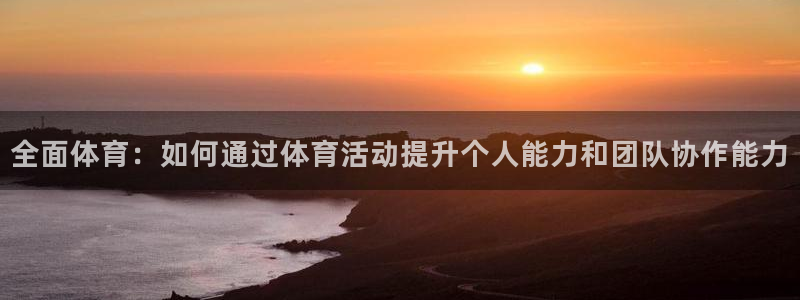 3377体育官网入口网页版