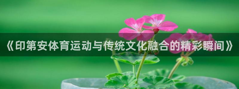 3377体育(中国)官方网站