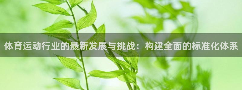 3377体育是正规平台吗