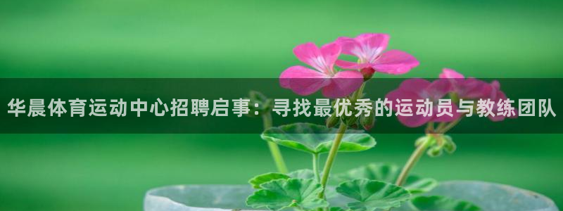 3377体育app官网下载地址