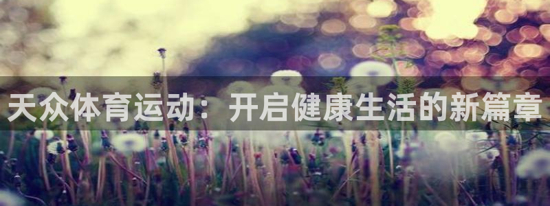 3377体育app下载安装