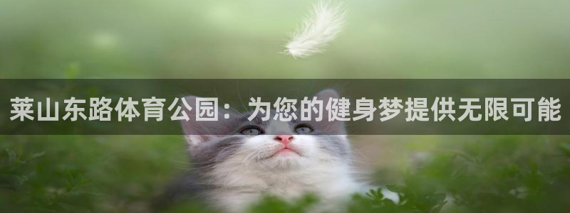3377体育app下载安装