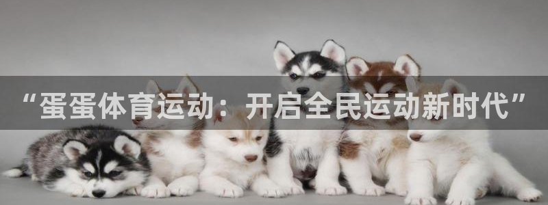 3377体育官网