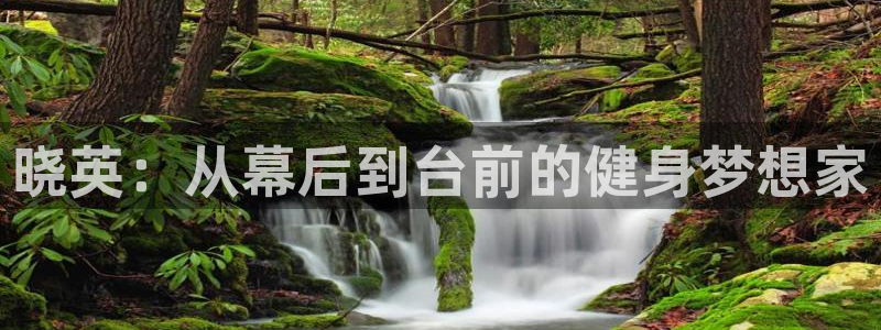 3377体育全网