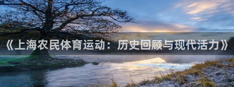 3377体育手机平台