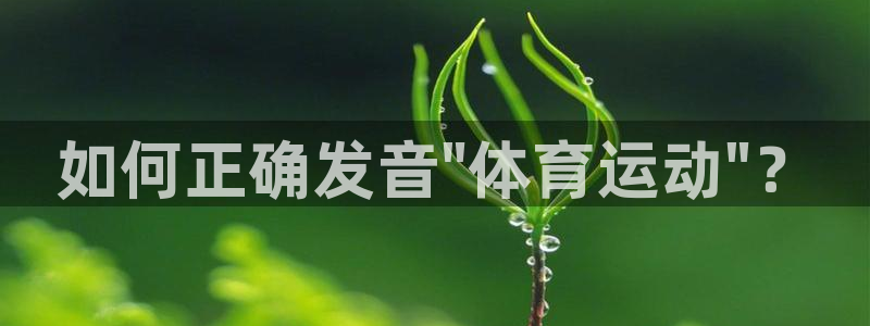 3377体育官网入口网页版
