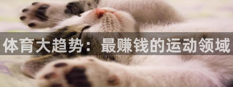 3377体育app官方下载