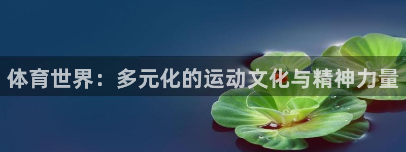3377体育全网