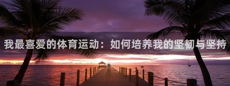 3377体育全网