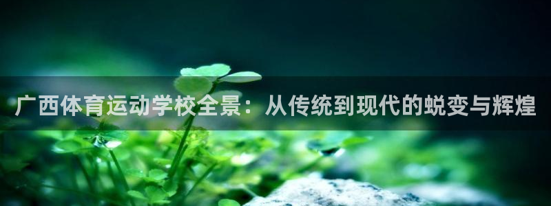 3377体育手机平台