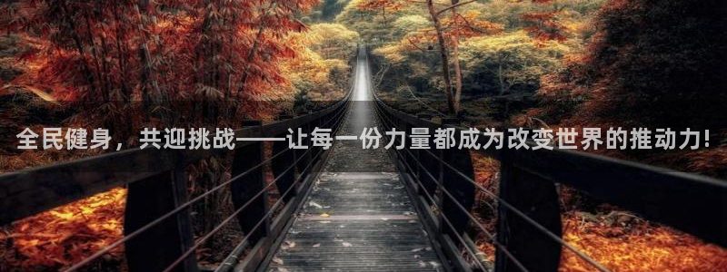 3377体育app登录入口