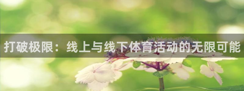 3377体育网页登录入口