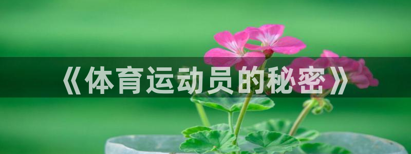 3377体育官网入口网页版