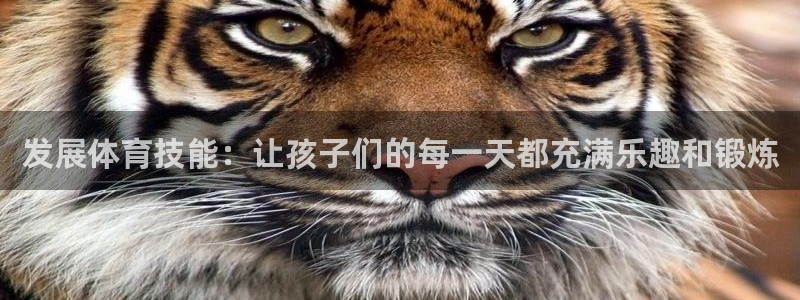 3377体育官方app下载