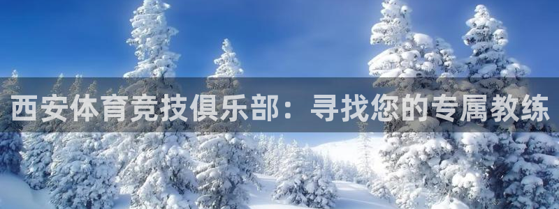 3377体育官网入口下载最新