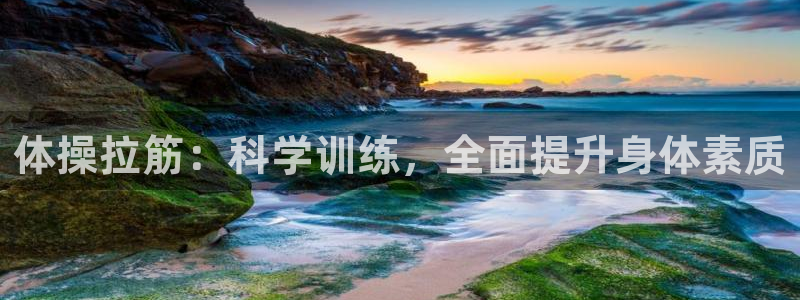 3377体育官网下载