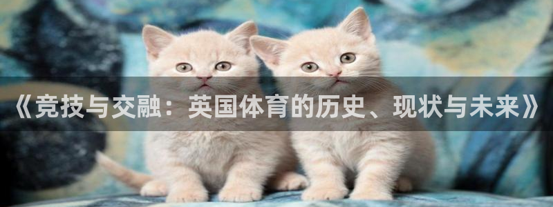 3377体育在线
